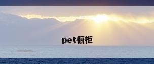 pet橱柜