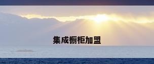 集成橱柜加盟