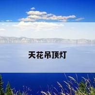 天花吊顶灯