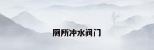 厕所冲水阀门