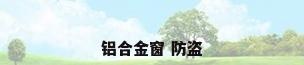 铝合金窗 防盗