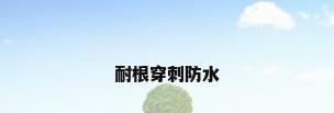 耐根穿刺防水