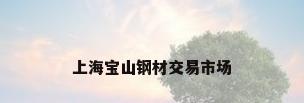 上海宝山钢材交易市场