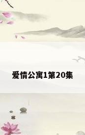 爱情公寓1第20集