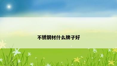 不锈钢材什么牌子好