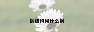 钢结构用什么钢