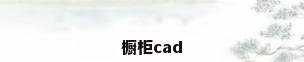 橱柜cad