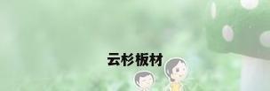云杉板材