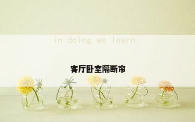 客厅卧室隔断帘