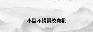 小型不锈钢绞肉机