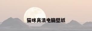 猫咪高清电脑壁纸