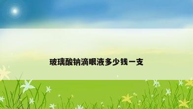 玻璃酸钠滴眼液多少钱一支