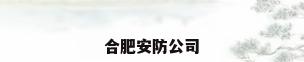 合肥安防公司