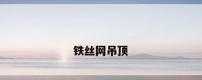 铁丝网吊顶