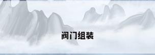 阀门组装