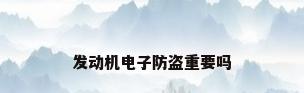发动机电子防盗重要吗