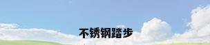 不锈钢踏步