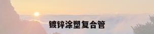 镀锌涂塑复合管