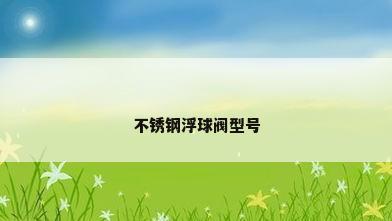 不锈钢浮球阀型号