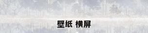 壁纸 横屏