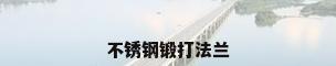 不锈钢锻打法兰