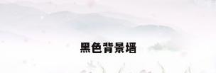 黑色背景墙