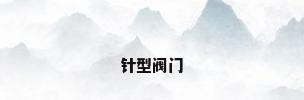 针型阀门
