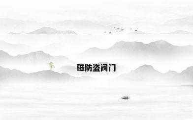 磁防盗阀门