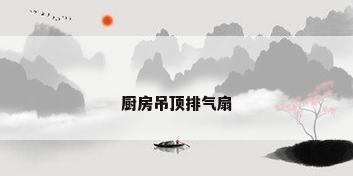 厨房吊顶排气扇