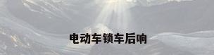 电动车锁车后响