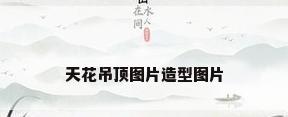 天花吊顶图片造型图片