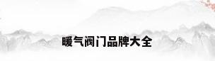 暖气阀门品牌大全