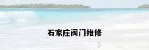 石家庄阀门维修