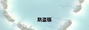 防盗版