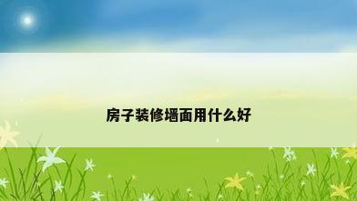 房子装修墙面用什么好