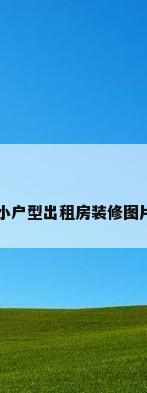 小户型出租房装修图片