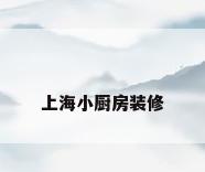 上海小厨房装修