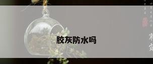 胶灰防水吗