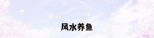 风水养鱼