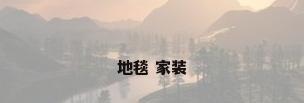 地毯 家装