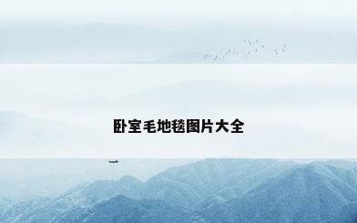 卧室毛地毯图片大全