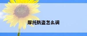 摩托防盗怎么调