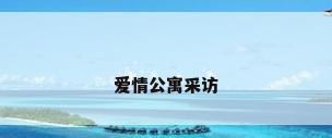 爱情公寓采访