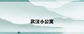 武汉小公寓