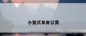 小复式单身公寓