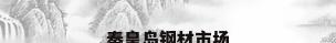 秦皇岛钢材市场