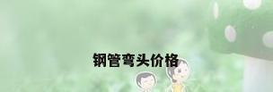 钢管弯头价格