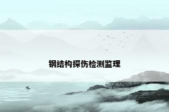 钢结构探伤检测监理