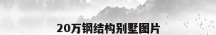 20万钢结构别墅图片