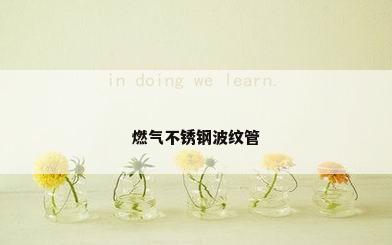 燃气不锈钢波纹管